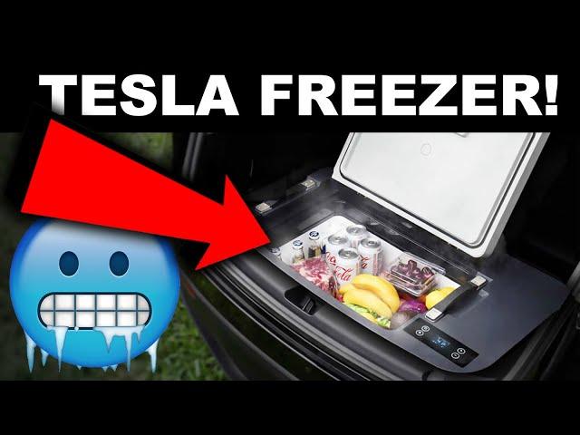 This Hidden Fridge for you Tesla is COOL.. Literally!