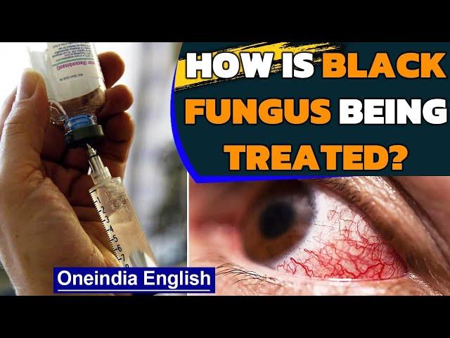 Amphotericin B: the crucial & costly drug to treat black fungus | Oneindia News