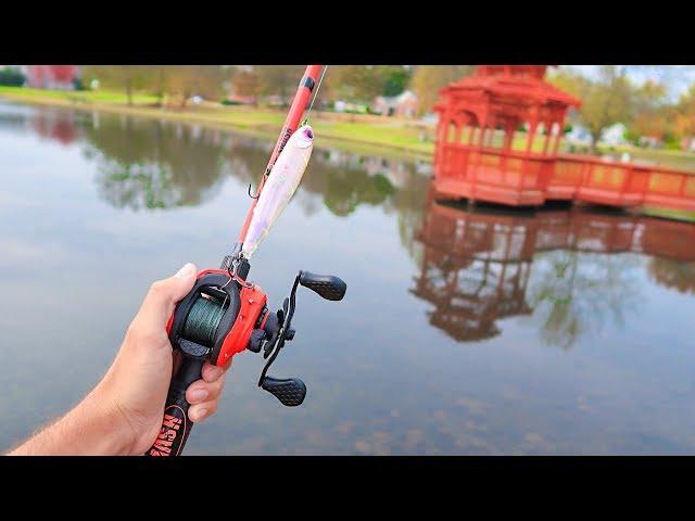 BIG Topwater ONLY for GIANT Bass (Bank Fishing)