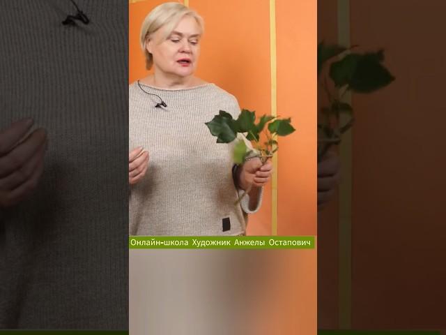 Коммерческая флористика не любит каркасы. Онлайн мастер-классы по флористике.
