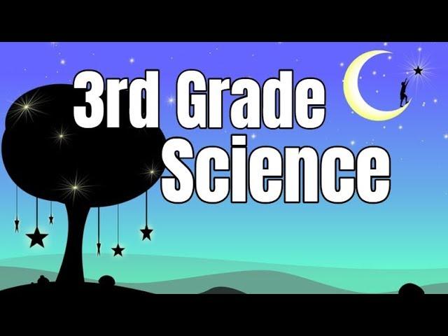 3rd Grade Science Compilation