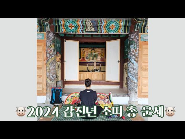 2024 갑진년 소띠 총운세