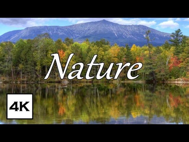 4K HDR Beautiful Walking Tour of Hopkinton State Park