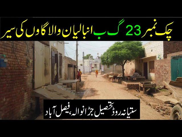 Chak 23 GB Anbalian Wali Satiana Road || Jaranwala || Pakistan Village Life  || Gaon ki life