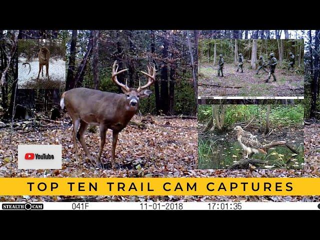 My 10 Most Memorable Trail Cam Videos (#1 is RARE!)