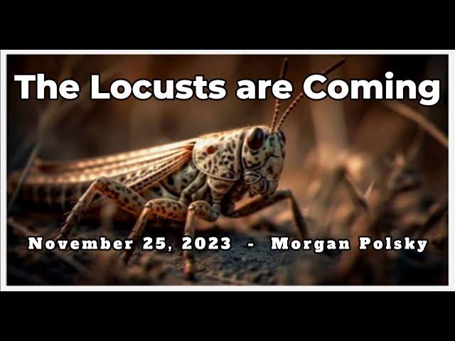 2023-11-25 The Locusts are Coming - Morgan Polsky