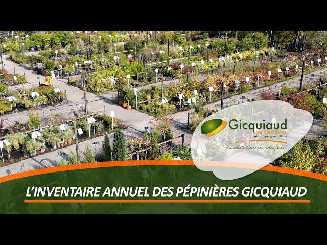 Revivez l'inventaire annuel aux Pépinières Gicquiaud  🪴 #shorts