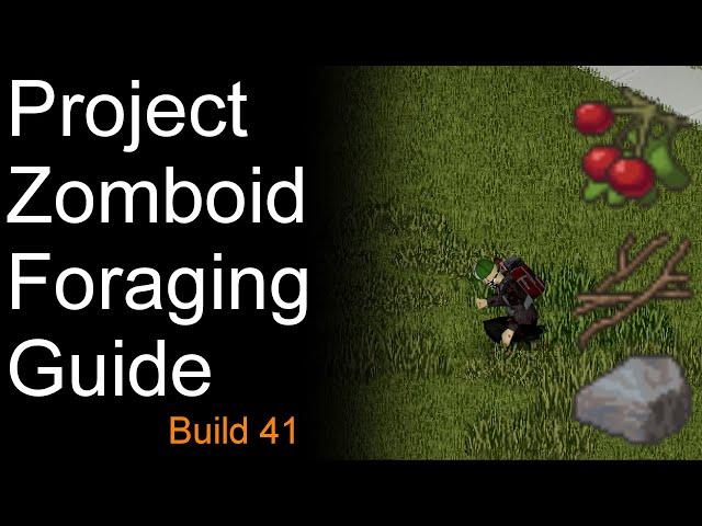 Project Zomboid Foraging Guide Build 41 (OLD)