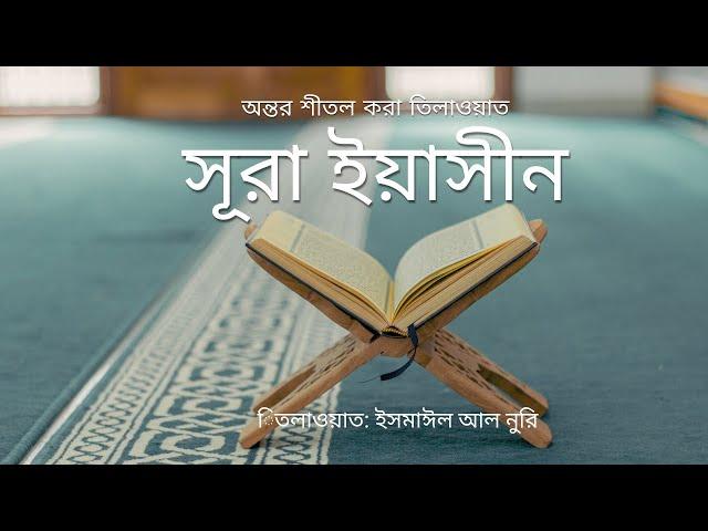 সূরা ইয়াসীন| Reciterd By Ismail Al Nori Learn With My Dream Travel.