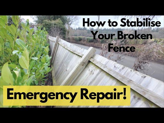 Emergency Garden Fence Repair After High Winds