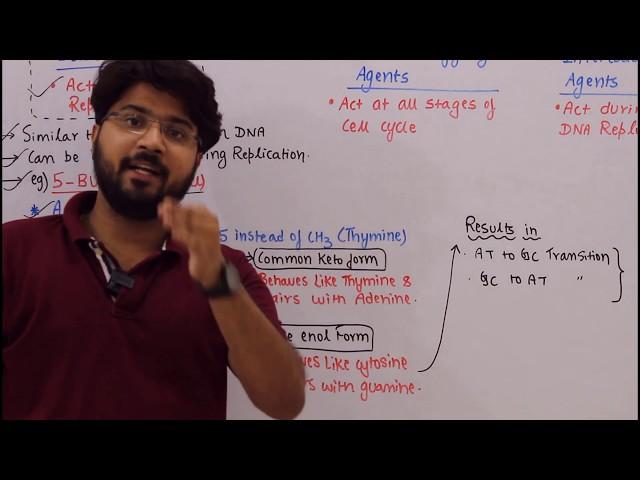 Base Analogs (chemical mutagens) #CSIR #DBT #GATE #NEET #IFS