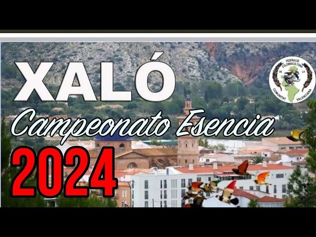 Esencia 2024 | Los valores del PALOMO DEPORTIVO ️