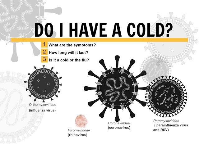The Common Cold:  Timeline of Symptoms