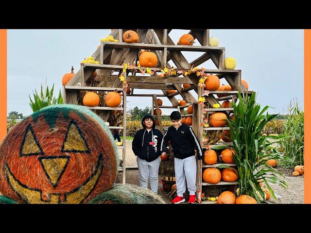 SWEET EAST ADVENTURE FARM PETTING ZOO.  Pumpkin patch