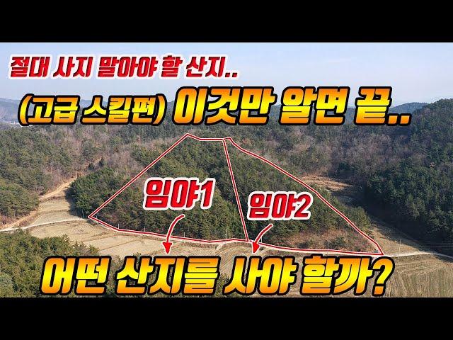 (고급스킬) 부동산 고수들만 아는 임야 산지 매매 시 알아야 할 핵심 꿀팁-부동산재테크 전원주택 펜션 토지 전문 프로공인중개사/건축기사