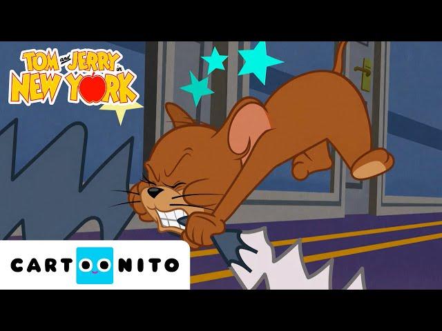 Tom e Jerry em Nova Iorque | Ladrões, submarinos e um hambúrguer gigante | Cartoonito