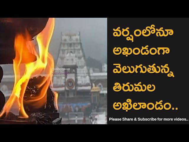 Tirumala Sri Venkateswara Swamy Temple Akhilandam Visuals While Raining