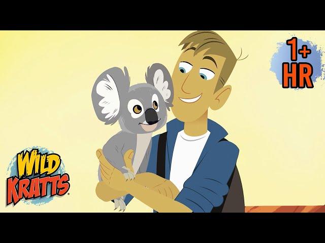 Koalas, Kangaroos & More! | Wild Kratts Animal Adventures for Kids | 9 Story Kids