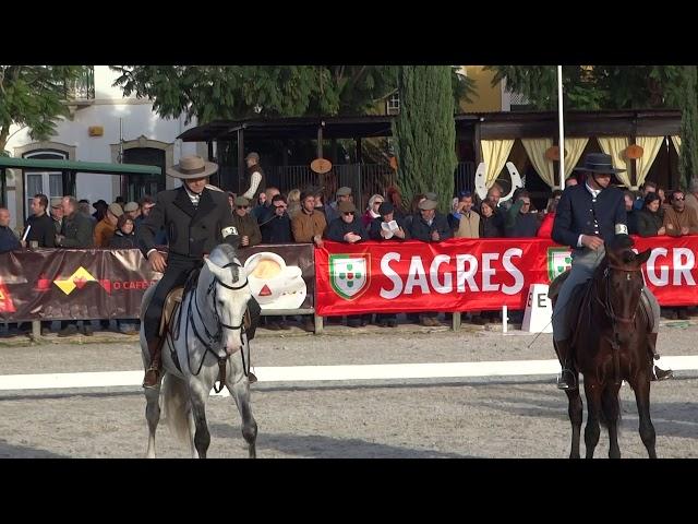 Cavalos de 4 Anos montados, Modelo e Andamentos, Golegã 2019