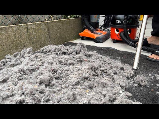 MESS TEST - 8x VACUUM CLEANERS, ONE RUG, HUGE MESS WITH DIRT & FLUFF!!!