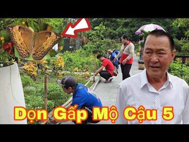 Nóng BQL hoa viên, Cho lịnh Tháo Dọn Dẹp Sáng Nay Tại Mộ NSƯT Vũ Linh Và...