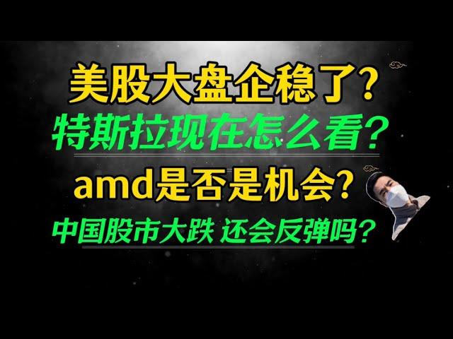 （2025.1.4）美股大盘企稳了？特斯拉现在怎么看？amd是否是机会？中国股市大跌 还会反弹吗？————每周必看的周末回顾