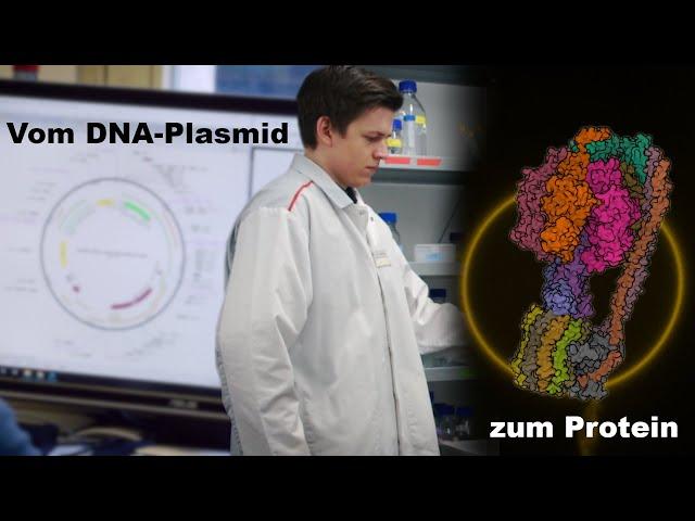 MINT-Tag Film: Arbeit in einem Biochemie und Molekularbiologie Labor