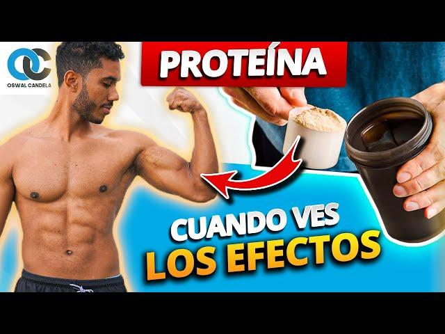 PROTEÍNA ¿Cuándo se ven los resultados? Guía completa