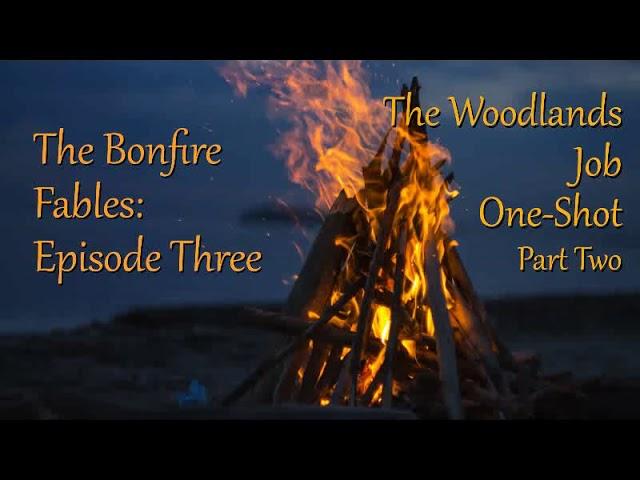 Episode 3 - The Woodlands Job Part Two