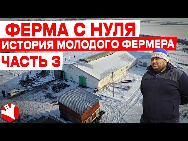 Молочная ферма с нуля | История молодого фермера | ЧАСТЬ 3 | КУЛЬТИВАТОР