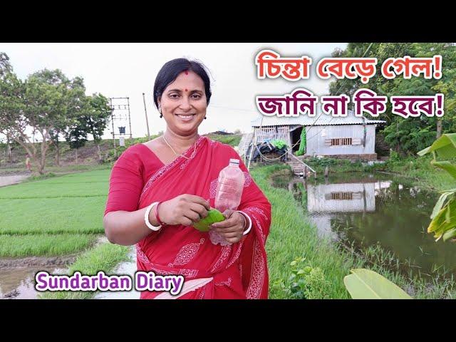 এবার কেমন লাগছে দেখুন! Sundarban Diary