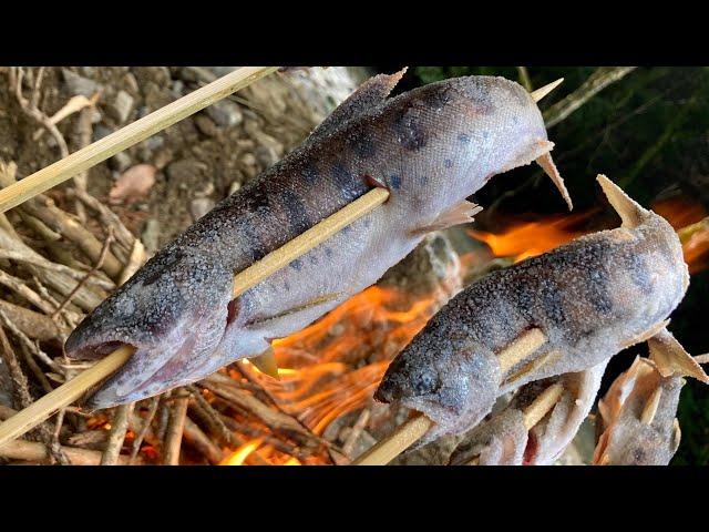 釣ったヤマメを焚火で塩焼きにして八海山をキメるだけの動画