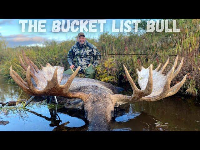 Once in a  Lifetime Moose Hunt | (Giant Bull Down)