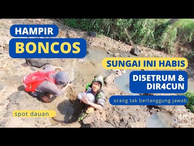 HAMPIR BONCOS‼️ KARENA SUNGAI NYA HABIS DISETRUM DAN DIRACUNl ORANG