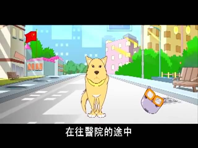 《爱护生命的故事》忠犬苦盼主人回家