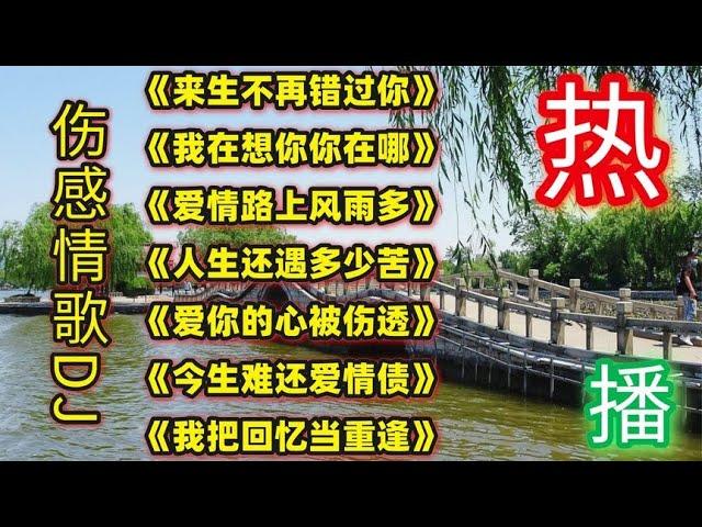 伤感好听DJ《来生不再错过你》《我在想你你在哪》爱情路上风雨多