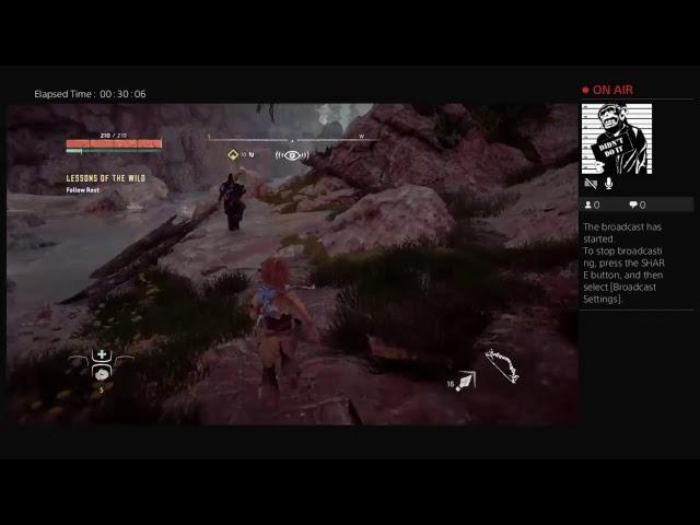 madmonkey gaming horizon zero dawn