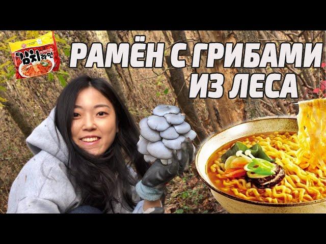 Рамён с лесными грибами на природе. Готовим рамён по-корейски