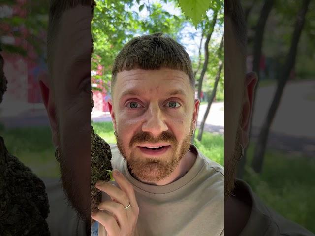 НАДО ИЛИ ХОЧУ