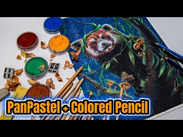 Here's how to BLEND PanPastel and Colored Pencil Like a PRO (Step by Step)