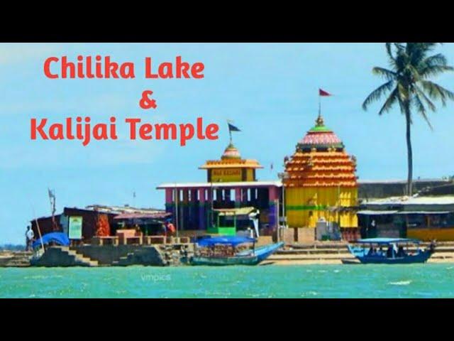 Chilika Lake Odisha || India's Largest Lake || Odisha Tourism