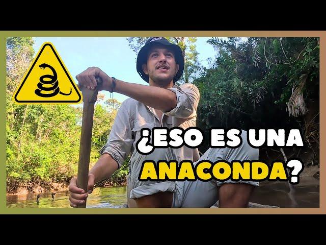 Me adentro 5 DÍAS en la selva AMAZÓNICA   ( Y viajo en canoa )