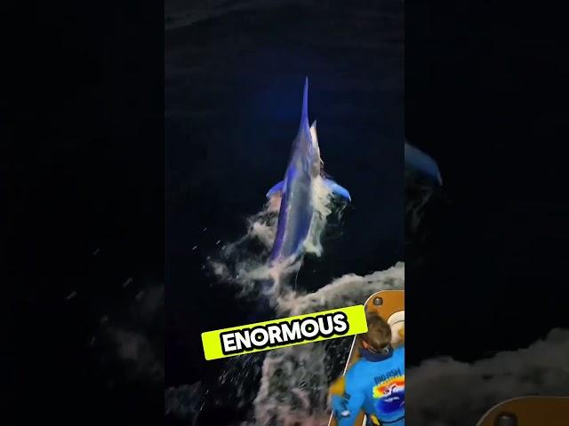 Million Dollar Boats, Giant Fish, and a Crazy Hobby #fishing |T|