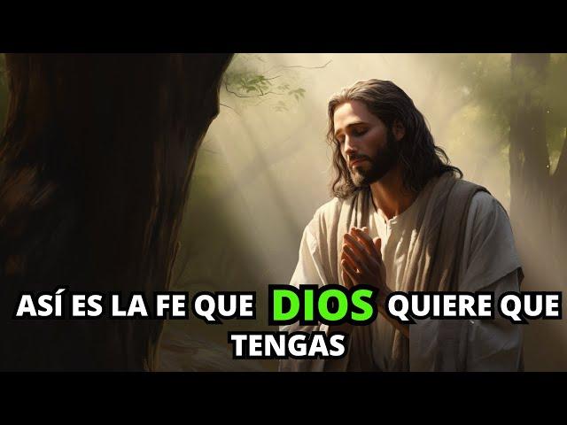 La Enseñanza de Jesús sobre el Poder de la Fe en la Biblia | La Biblia Lo Explica