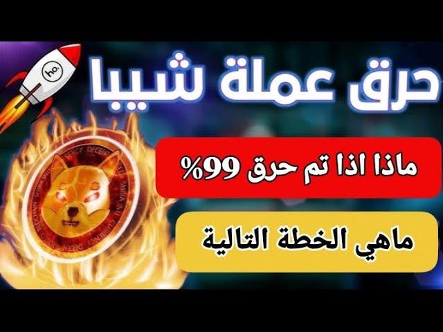 شيبا إينو: ما هو سعر شيبا إينو إذا تم حرق 99٪ من الرموز؟