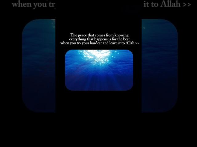 ‎the way in which Islam sets us free from worries of the future 🫶
