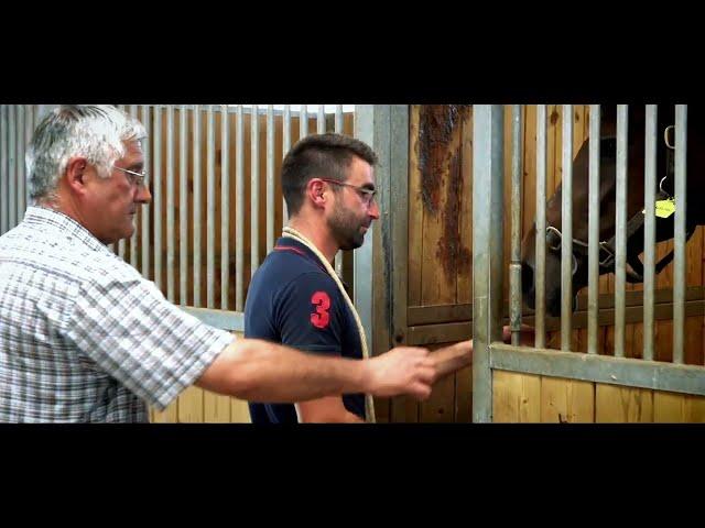 Le Haras de l'Hotellerie de la famille Garçon dans l'Orne : grandiose et nature