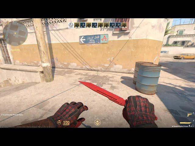 Counter strike 2 | Paracord Knife Crimson Web Inspect and Animation