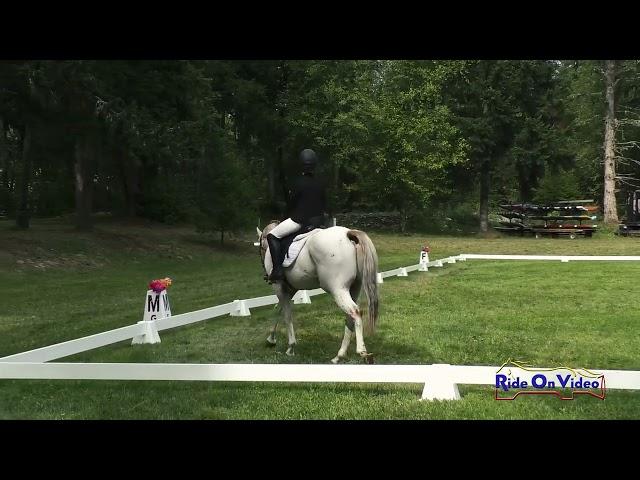 283D Monica Caiado on Into Infinity And Beyond Open Beginner Novice Dressage Aspen Farms Sept. 2024