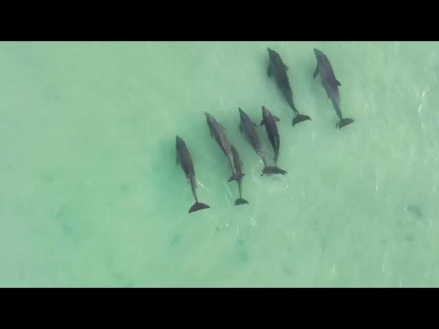 Honeymoon island 